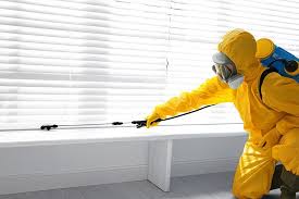 Best Termite Inspection and Treatment  in Montgomery, TX